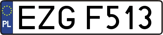 EZGF513