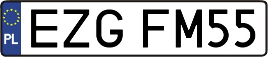 EZGFM55