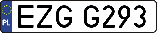 EZGG293