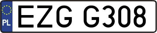 EZGG308