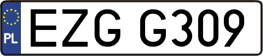 EZGG309
