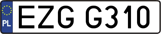 EZGG310