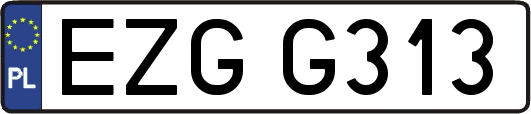 EZGG313