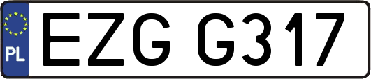 EZGG317
