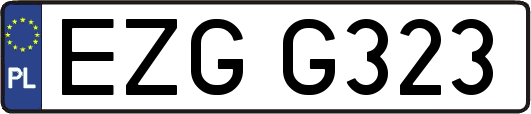 EZGG323