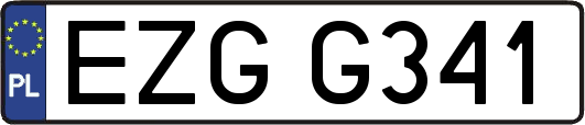 EZGG341