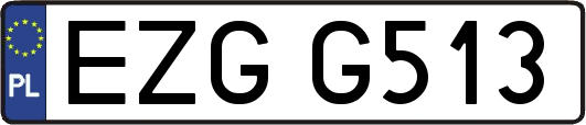EZGG513
