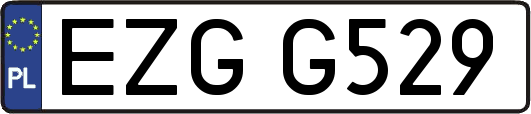 EZGG529