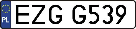 EZGG539