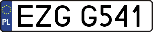 EZGG541