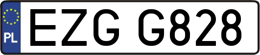 EZGG828