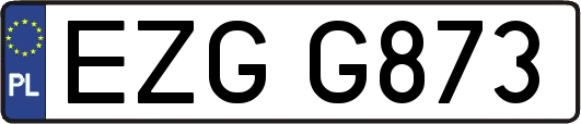 EZGG873