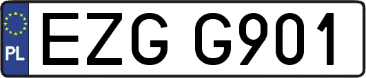 EZGG901