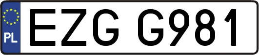 EZGG981