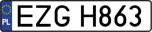 EZGH863