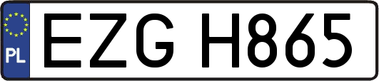 EZGH865