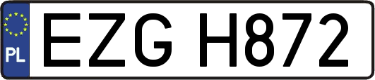 EZGH872