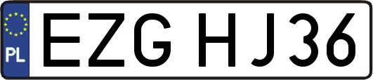 EZGHJ36