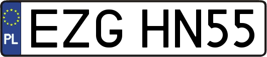 EZGHN55