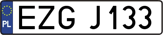 EZGJ133