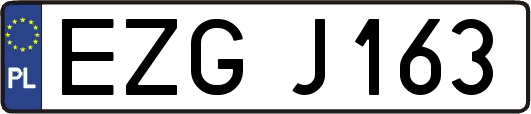 EZGJ163
