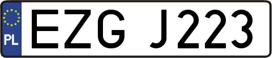 EZGJ223
