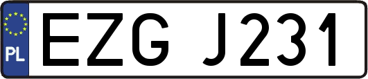 EZGJ231