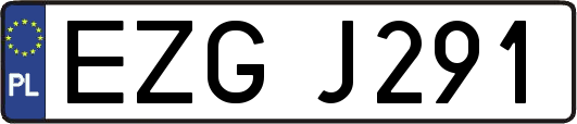 EZGJ291