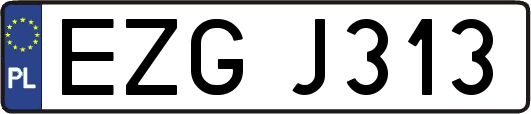 EZGJ313