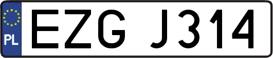EZGJ314