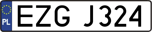 EZGJ324