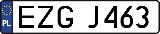EZGJ463