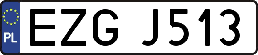 EZGJ513