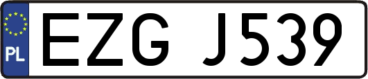 EZGJ539