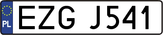 EZGJ541