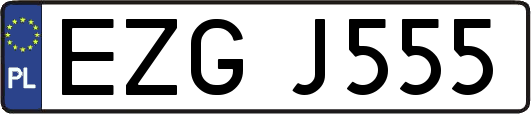 EZGJ555