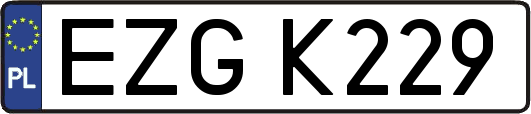 EZGK229