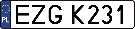 EZGK231