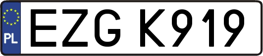 EZGK919