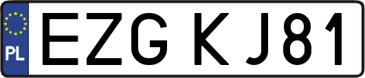 EZGKJ81
