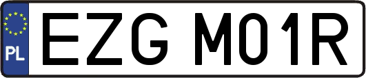 EZGM01R
