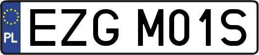 EZGM01S