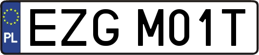 EZGM01T