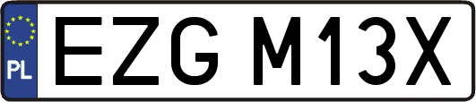 EZGM13X