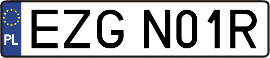 EZGN01R