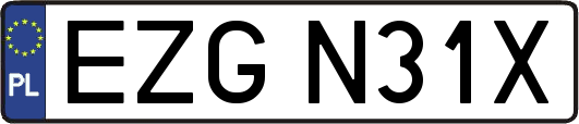 EZGN31X