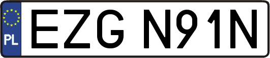 EZGN91N