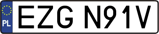 EZGN91V