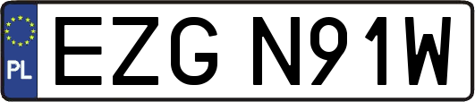EZGN91W