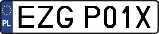 EZGP01X